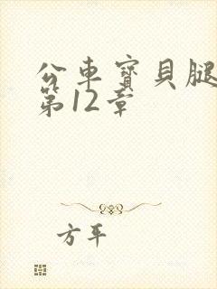 公车宝贝腿开点第12章