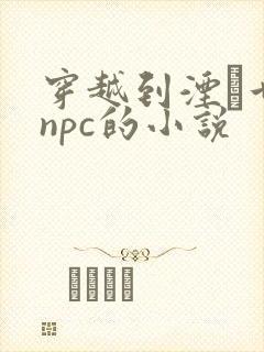 穿越到湮婸世界npc的小说