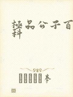 极品公子百度百科