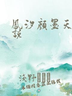 凤汐颜墨天问小说