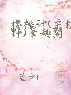 樱桃汁(宋枝江野)笔趣阁