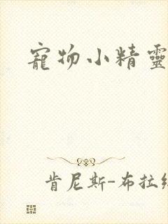 宠物小精灵之梦