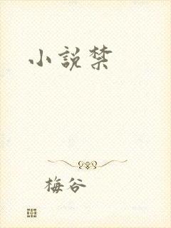 小说禁