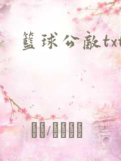 篮球公敌txt