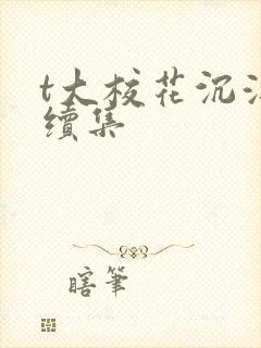 t大校花沉浮录续集