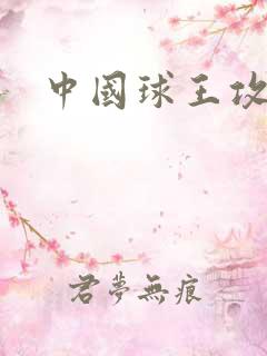 中国球王攻略