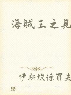 海贼王之见证者