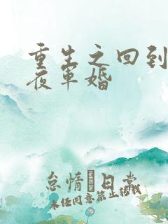 重生之回到新婚夜军婚