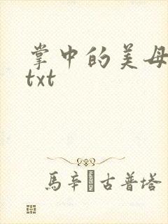 掌中的美母版主txt
