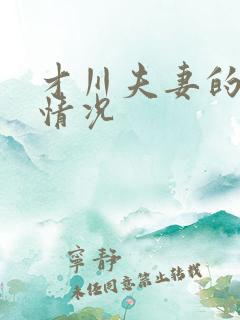 才川夫妻的恋爱情况