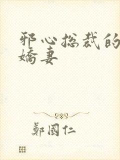 邪心总裁的纯情娇妻