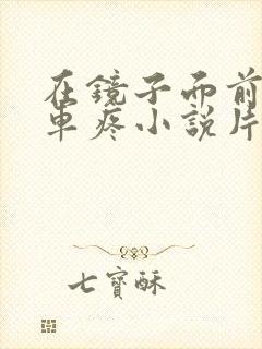 在镜子面前做开车疼小说片段