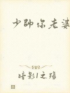 少帅你老婆