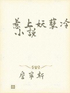 惹上妖孽冷殿下 小说