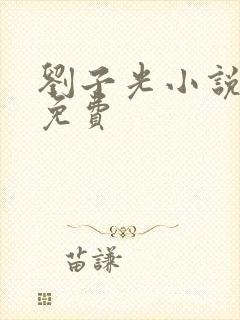 刘子光小说全文免费