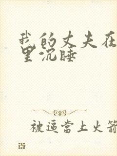 我的丈夫在冰箱里沉睡