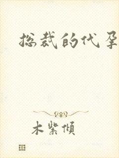 总裁的代孕女友