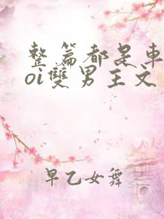 整篇都是车的doi双男主文