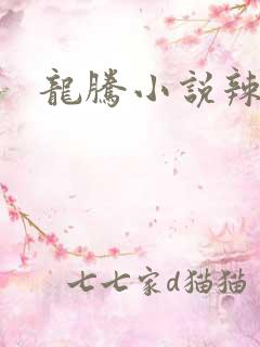 龙腾小说辣文网