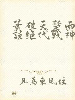 萧破天楚雨馨小说绝代战神