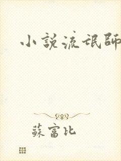 小说流氓师表