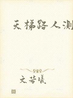 天梯路人测试器