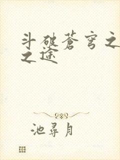 斗破苍穹之王者之途