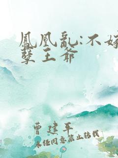 凤凰乱:不嫁妖孽王爷