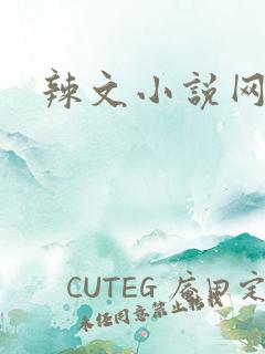 辣文小说网