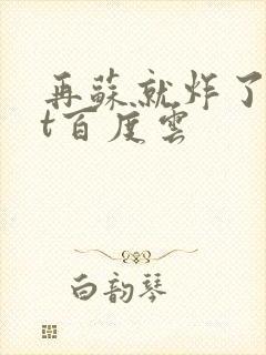 再苏就炸了txt百度云