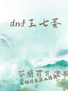 dnf王七蛋
