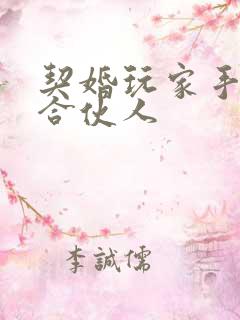 契婚玩家手册之合伙人