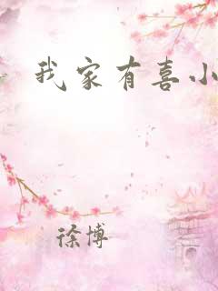 我家有喜小说