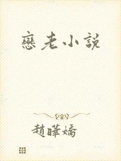 恋老小说