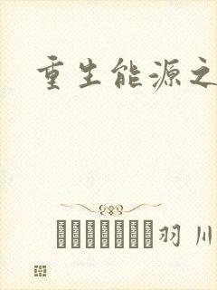 重生能源之王