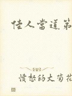 佳人当道第一部