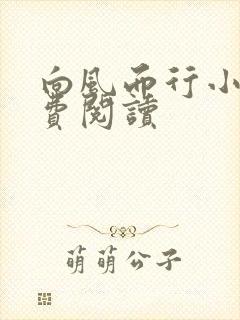 向风而行小说免费阅读