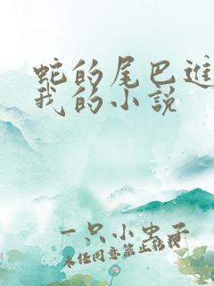 蛇的尾巴进入了我的小说