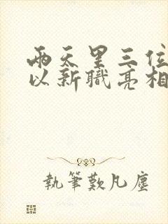 两天里三位将军以新职亮相