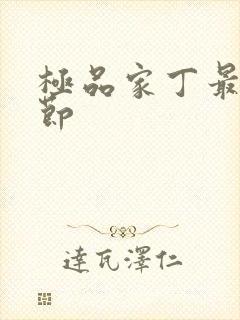 极品家丁最新章节