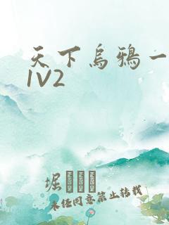 天下乌鸦一般黑1V2
