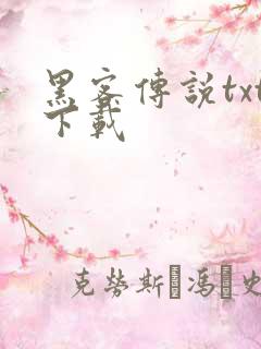 黑客传说txt下载