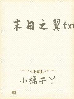 末日之翼txt