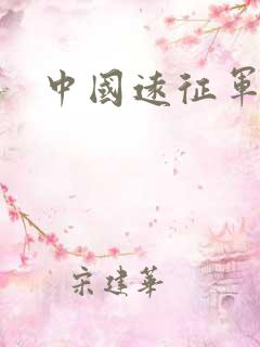 中国远征军小说