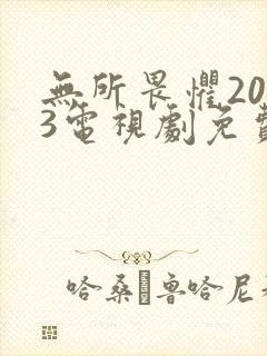 无所畏惧2023电视剧免费观看