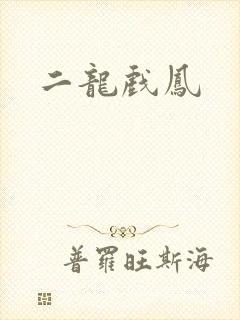 二龙戏凤