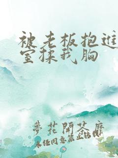 被老板抱进办公室揉我胸