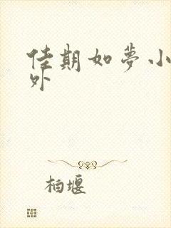 佳期如梦小说番外