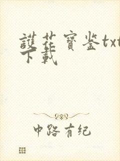 护花宝鉴txt下载