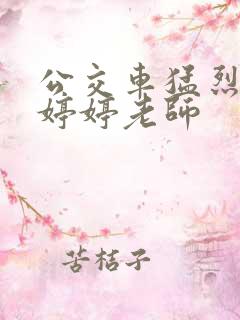 公交车猛烈进出婷婷老师